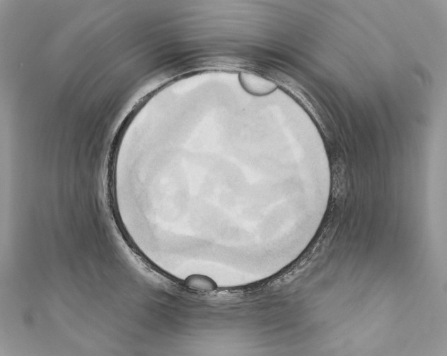 X0000110681139200907241038