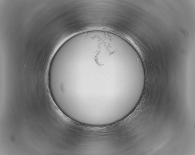 X0000110681140200907241038