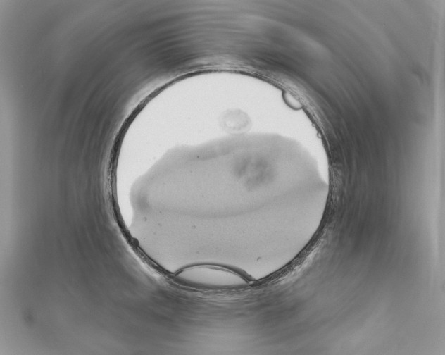 X0000110681141200907241038