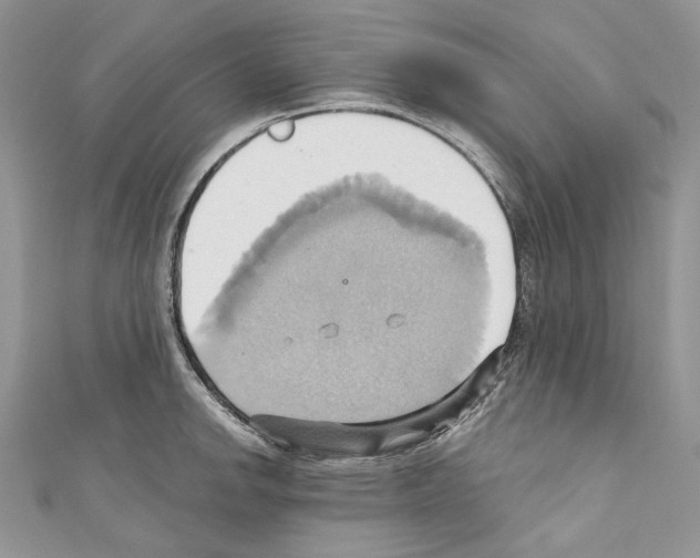 X0000110681142200907241038