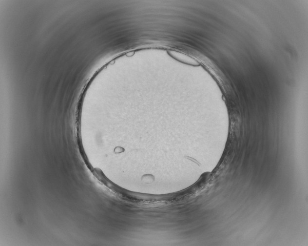 X0000110681143200907241038