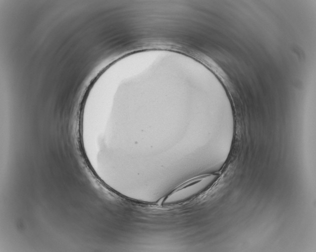 X0000110681144200907241038