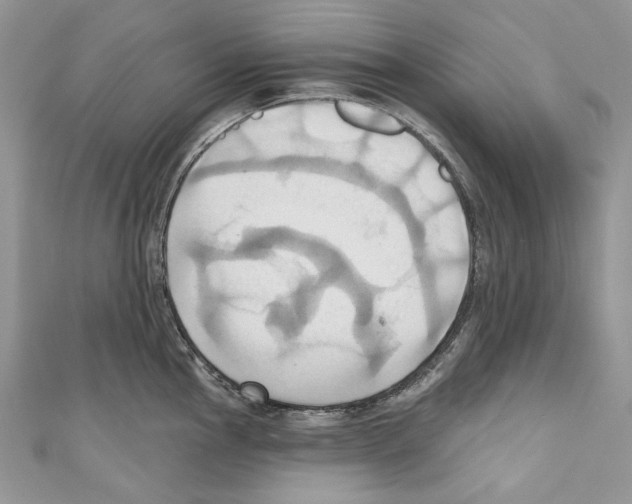 X0000110681145200907241038