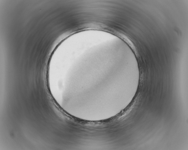 X0000110681146200907241038