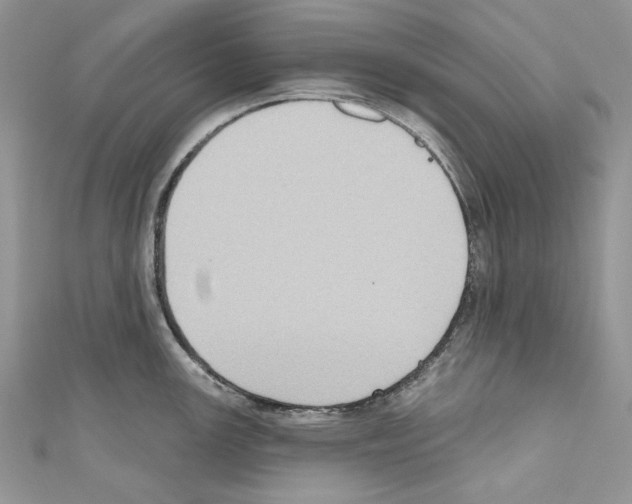 X0000110681147200907241038