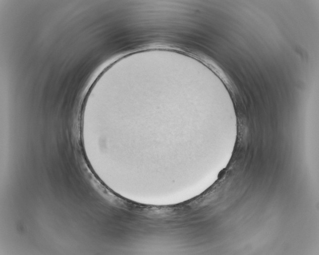 X0000110681148200907241038