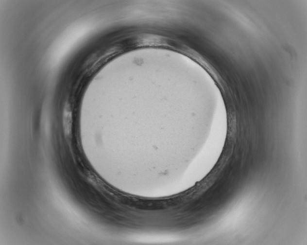 X0000110681151200907241038