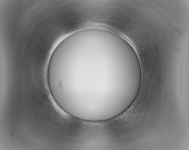 X0000110681152200907241038