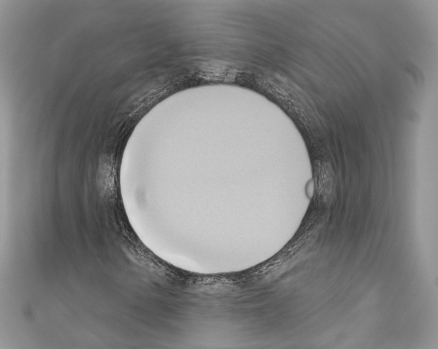 X0000110681154200907241037