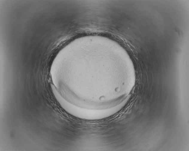 X0000110681157200907241037