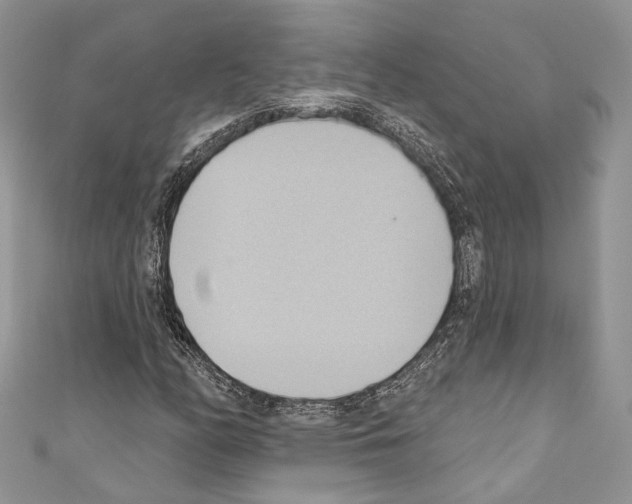 X0000110681158200907241037