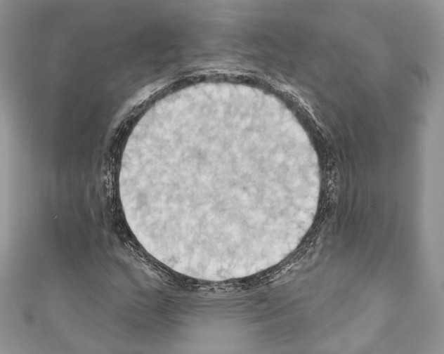 X0000110681159200907241037