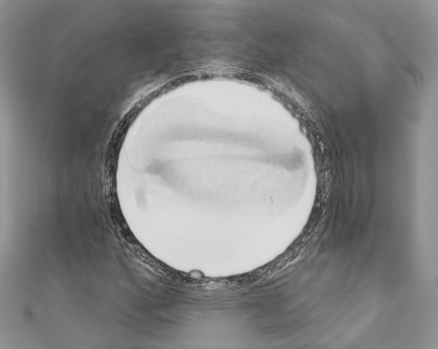 X0000110681160200907241037