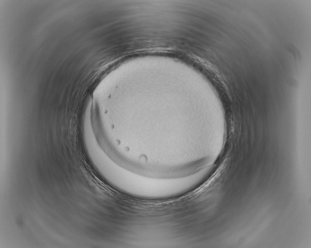 X0000110681161200907241037