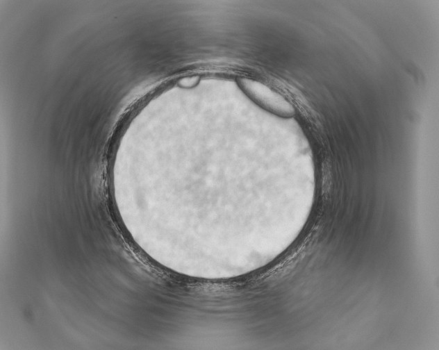 X0000110681164200907241037