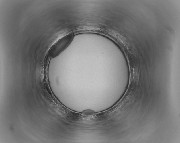 X0000110681165200907241037