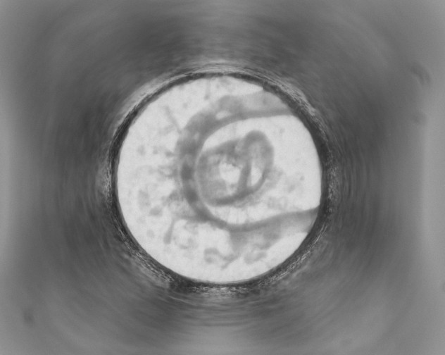 X0000110681167200907241037