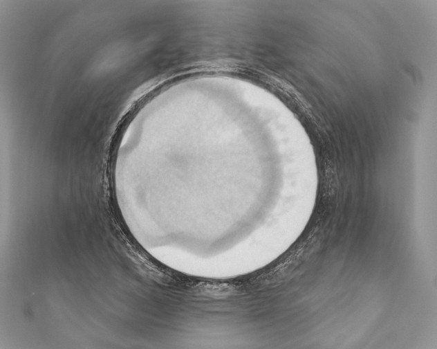 X0000110681168200907241037