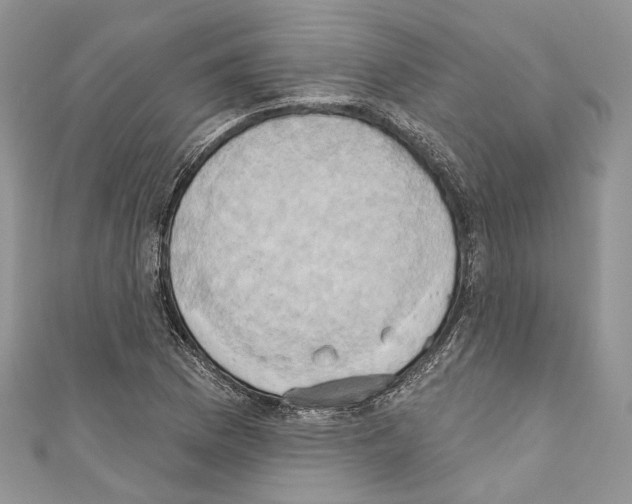 X0000110681169200907241037