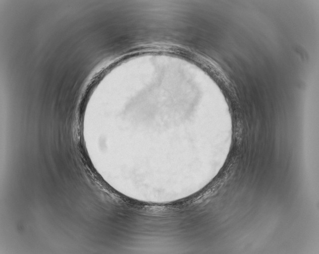 X0000110681172200907241037