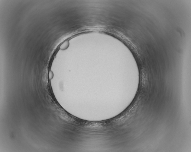 X0000110681174200907241037