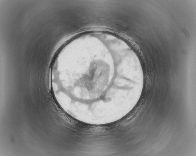 X0000110681175200907241037