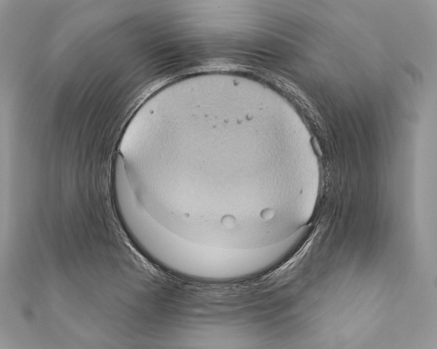 X0000110681177200907241037