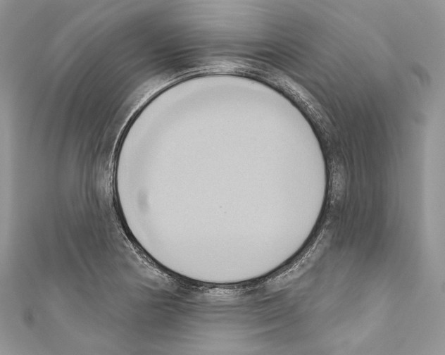 X0000110681178200907241037