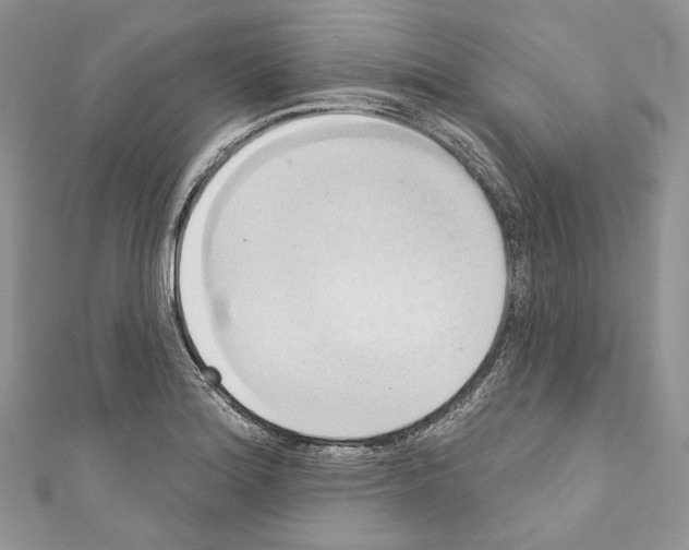 X0000110681180200907241037
