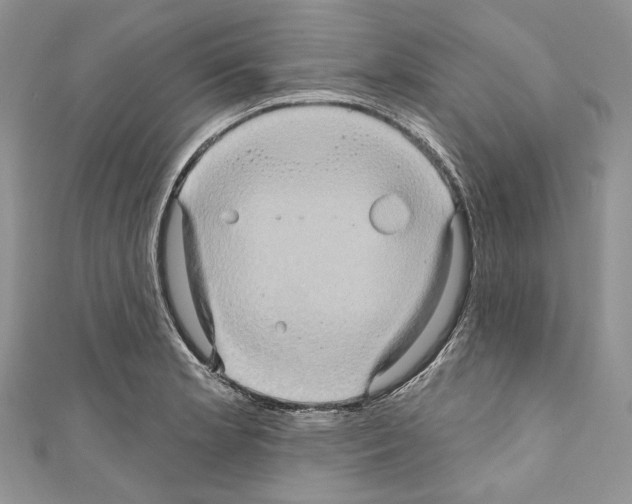 X0000110681181200907241037