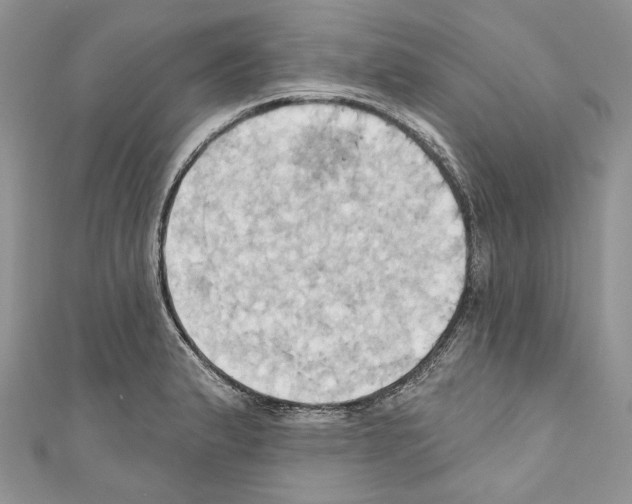 X0000110681183200907241037