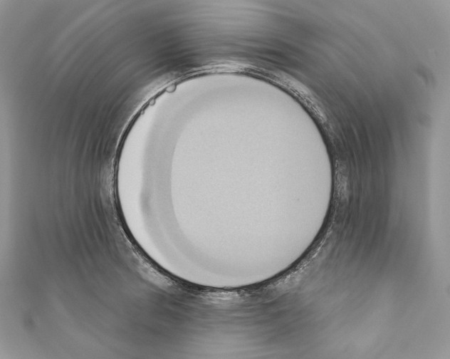 X0000110681186200907241037