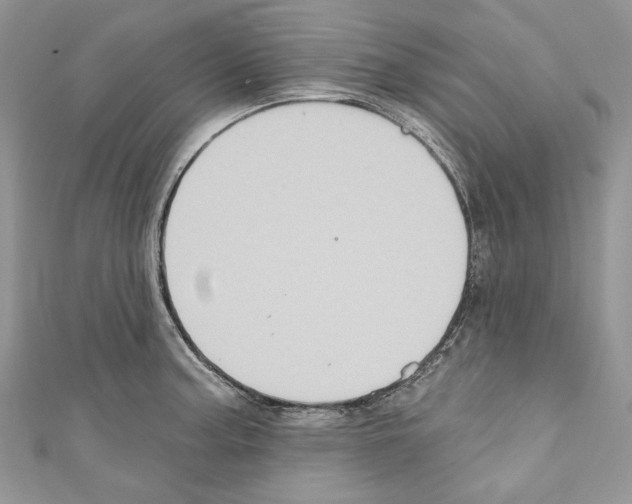 X0000110681187200907241037