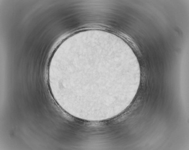 X0000110681188200907241037