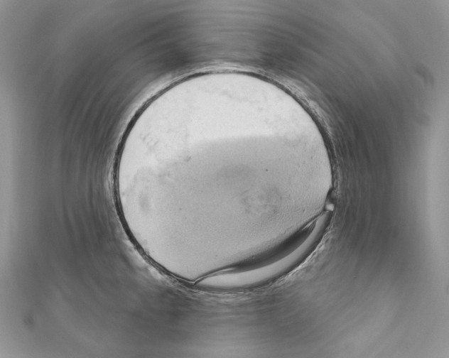 X0000110681189200907241037