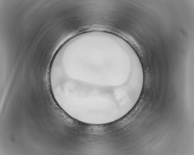 X0000110681190200907241037