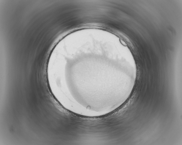 X0000110681192200907241037