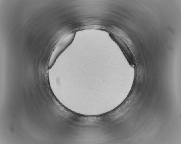 X0000110681193200907241037