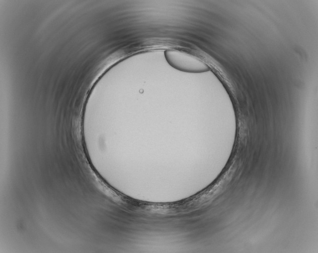 X0000110681194200907241037