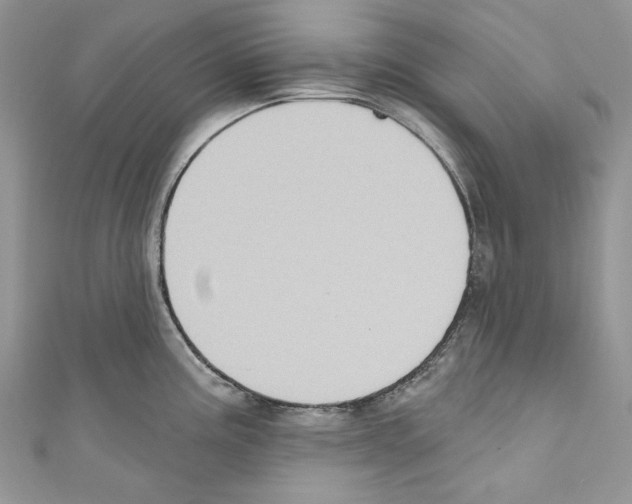 X0000110681195200907241037