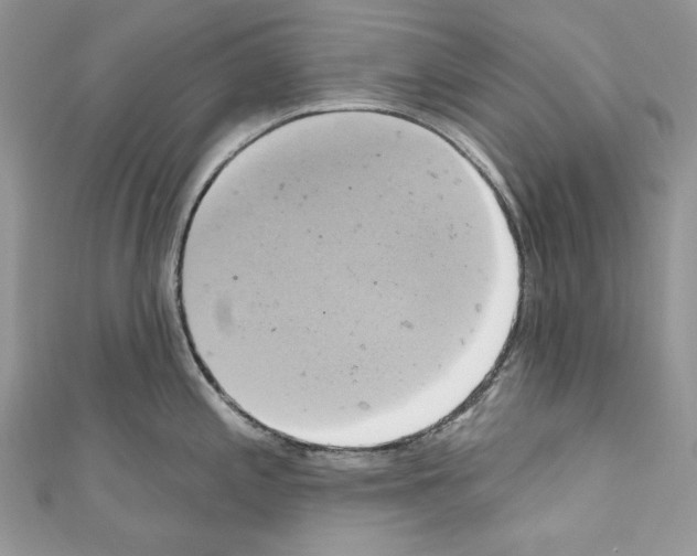 X0000110681197200907241037