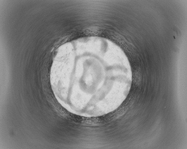 X0000110681201200907241036