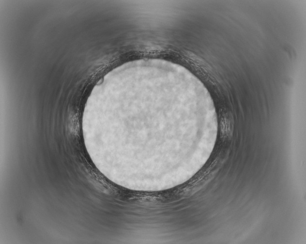 X0000110681204200907241036