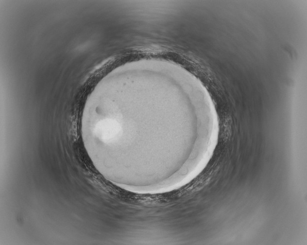 X0000110681205200907241036