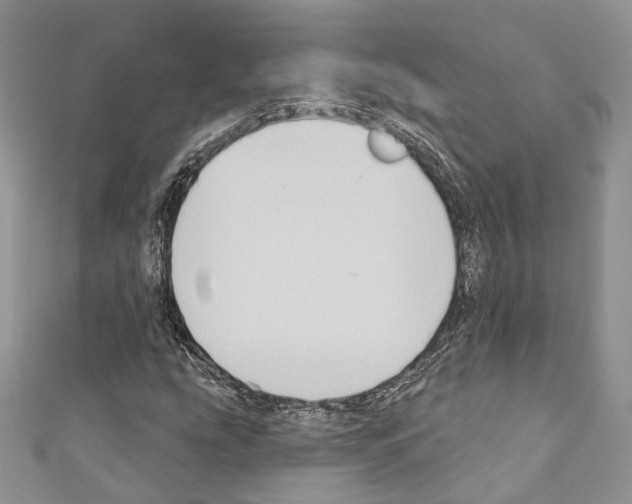 X0000110681207200907241036
