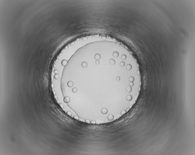 X0000110681212200907241036