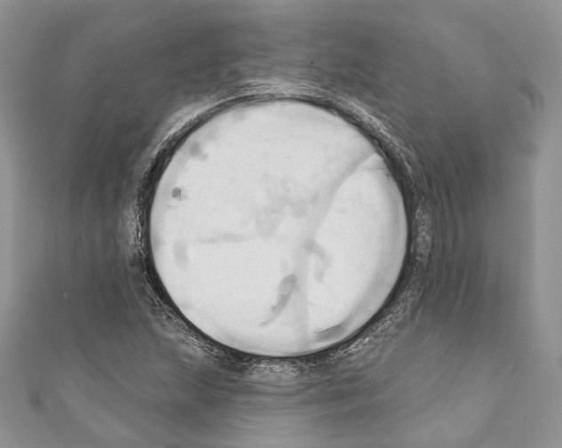 X0000110681215200907241036