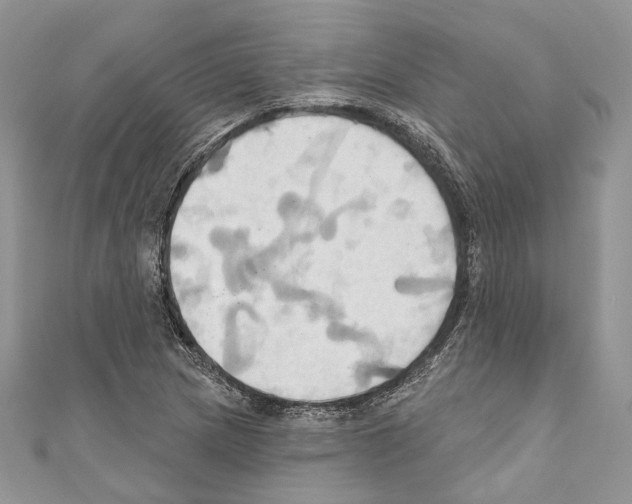 X0000110681217200907241036