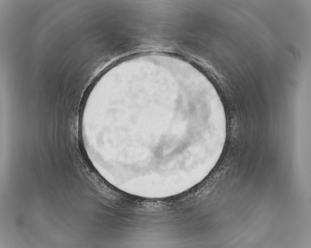 X0000110681220200907241036