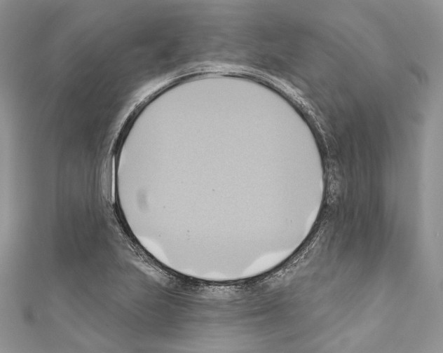 X0000110681223200907241036